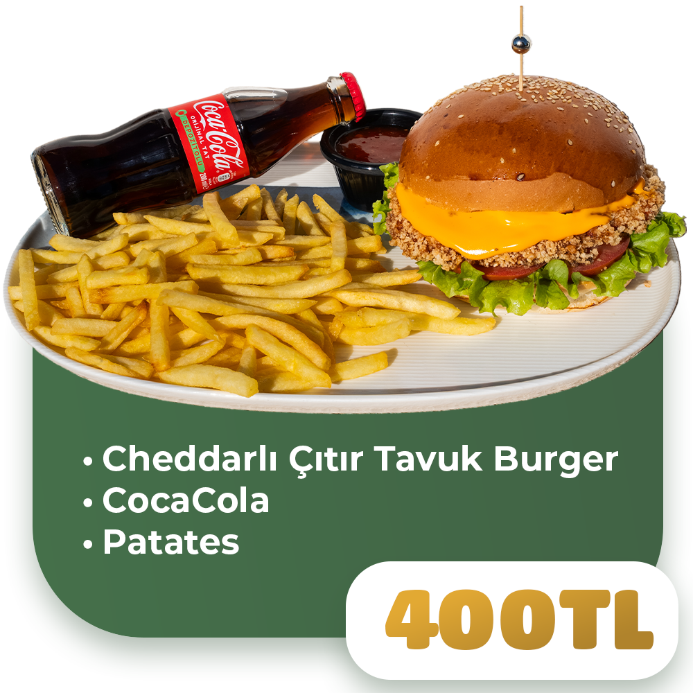 Öğrenci Burger Menüsü